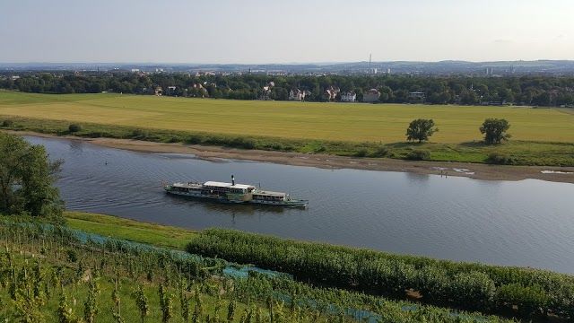 Weine mit Weitblick Winzer Lutz Muller